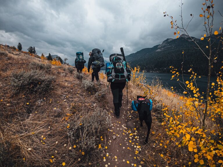 Discover the Must-Have Items for Outdoor Explorations